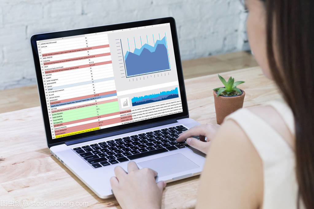 商務(wù)信息技術(shù)人士工作硬數(shù)據(jù)分析與咨詢